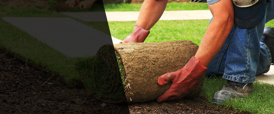 Youngsville Landscapers